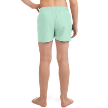 Load image into Gallery viewer, Surf Flamingo | Pistachio | Kid&#39;s Swim Trunks
